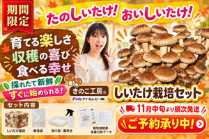 しいたけ栽培セット